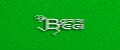BERRIBEGI