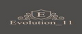 Evolution_11