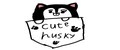 Cute Husky