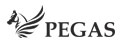 PEGAS shoes
