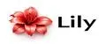 LillyBag