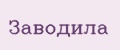 Заводила
