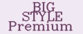 BIG STYLE Premium