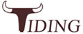 Tiding