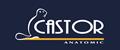 CASTOR