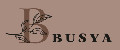 BUSYA