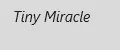 Tiny Miracle