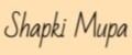 Аналитика бренда Shapki Мира на Wildberries