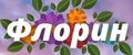 Флорин