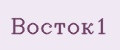 Восток1