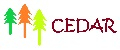 Аналитика бренда Cedar Shop на Wildberries
