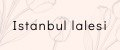 Istanbul lalesi