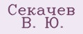 Секачев В. Ю.