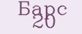 Барс 20