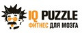 IQ PUZZLE