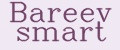 Bareev smart