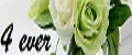 FLOWERS 4EVER