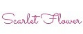 Scarlet flower