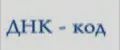 ДНК - код