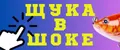 ЩУКА В ШОКЕ
