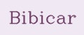 BibiCar