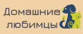 Домашние Любимцы