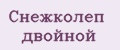 Снежколеп двойной