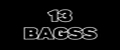 13BAGSS