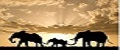 Три слона/Three elephants