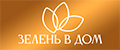 Зелень в дом