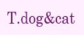 Т.dog&cat