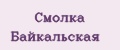 Смолка Байкальская