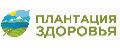 Плантация Здоровья