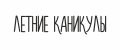 Аналитика бренда Летние каникулы на Wildberries