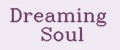 Dreaming Soul