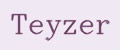 Teyzer