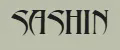 SASHIN