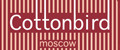 Cottonbird