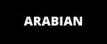 Аналитика бренда Arabian на Wildberries