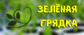 Зеленая грядка