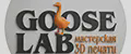 GOOSELAB