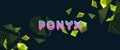Ponyx