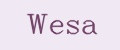Аналитика бренда wesa на Wildberries
