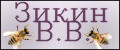 Зикин В.В.