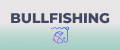 Bullfishing
