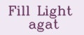 Fill Light agat