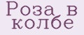 Аналитика бренда Роза в колбе на Wildberries