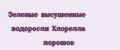 Зеленые высушенные водоросли Хлорелла порошок