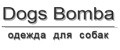 Dogs Bomba