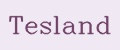 Tesland